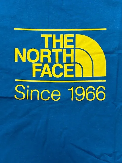 The North Face men's short sleeve t-shirt Foundation Graphic NF0A55EFM191 light blue